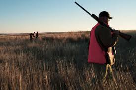 Chasse7