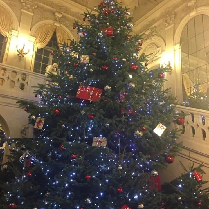 Sénat Noël
