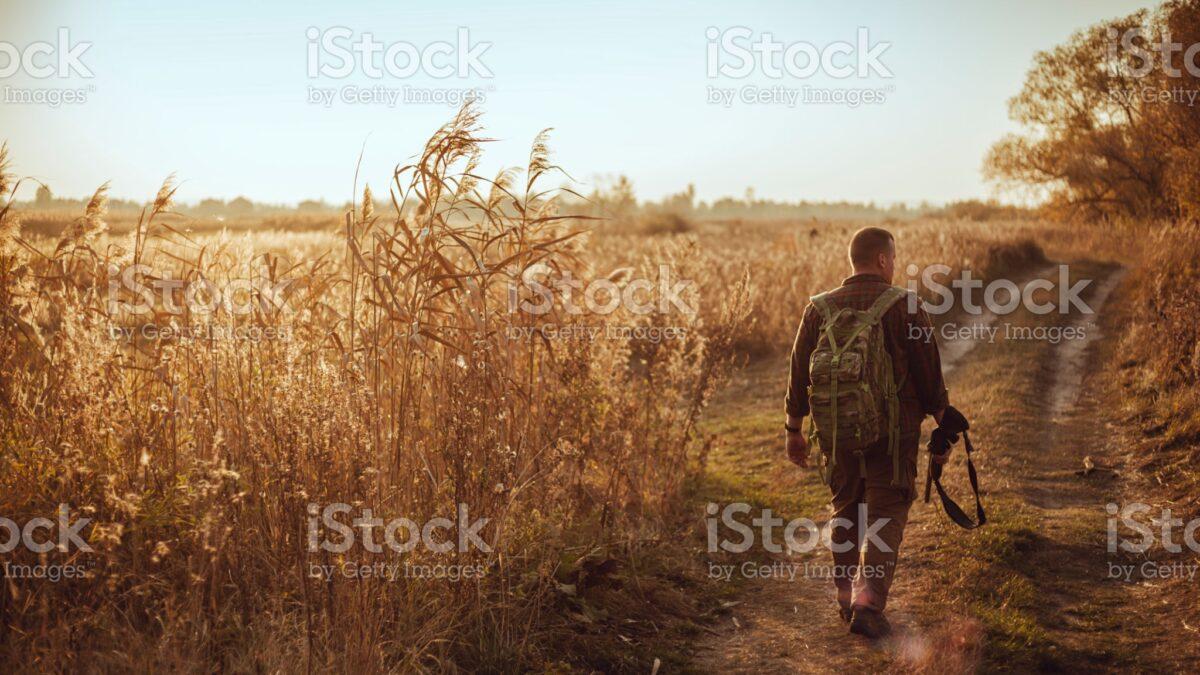 Chasse3
