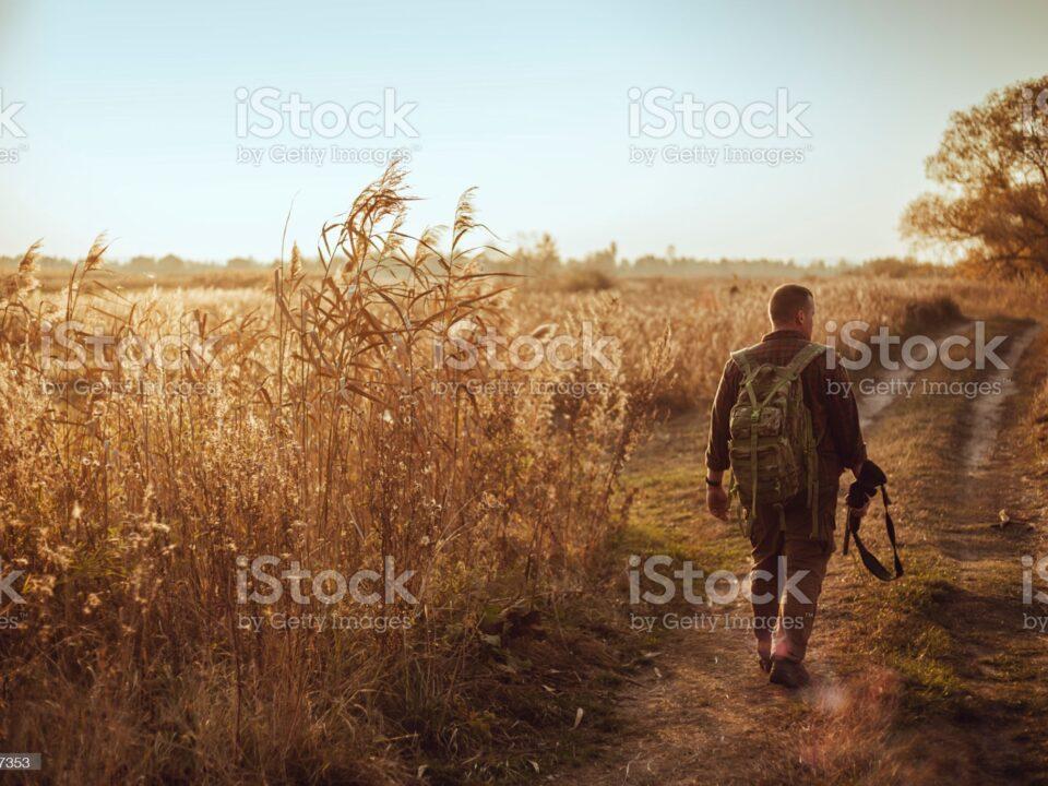 Chasse3
