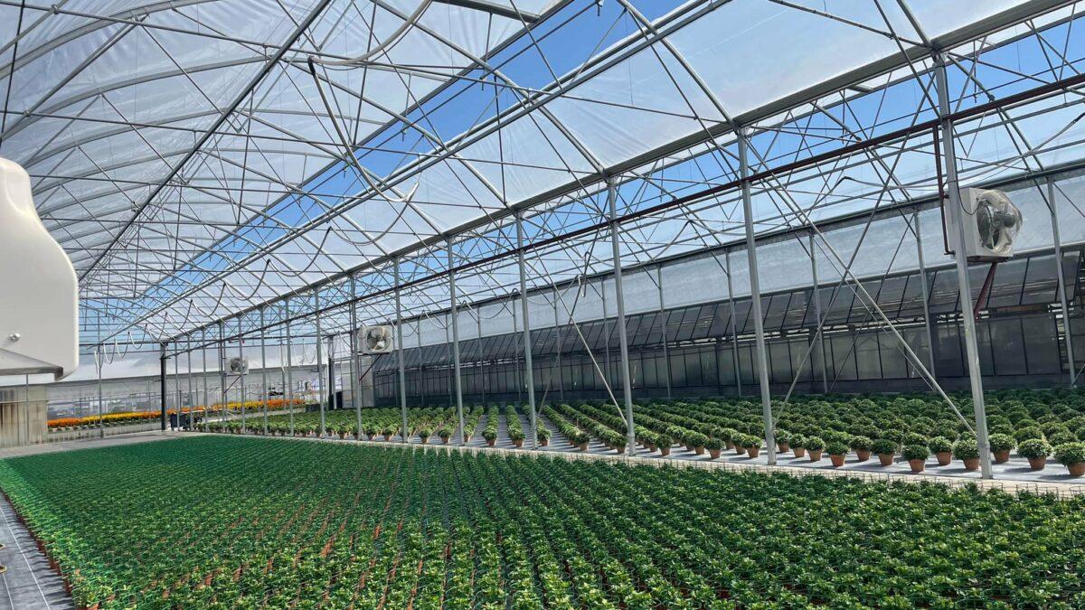 SOUPE Horticulture 20220730