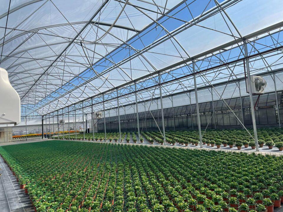 SOUPE Horticulture 20220730