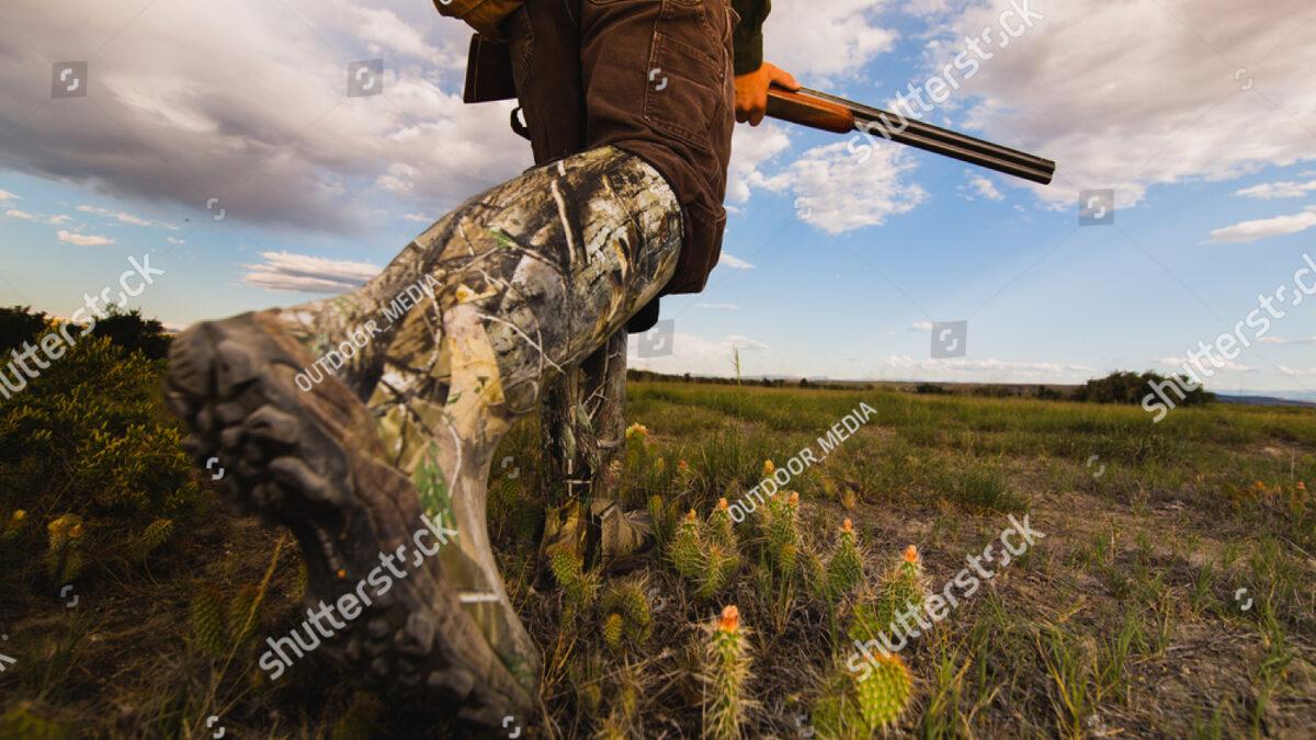 Chasse6