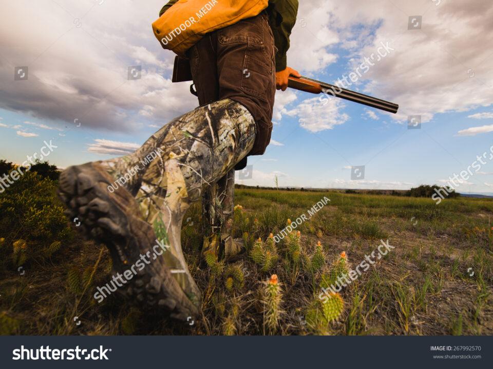 Chasse6