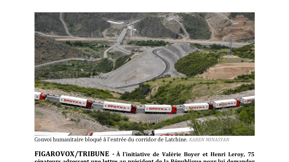 Article Web lefigaro.fr