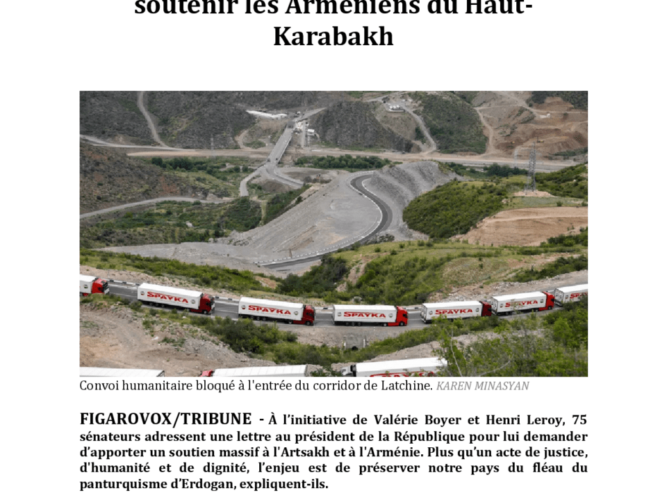Article Web lefigaro.fr