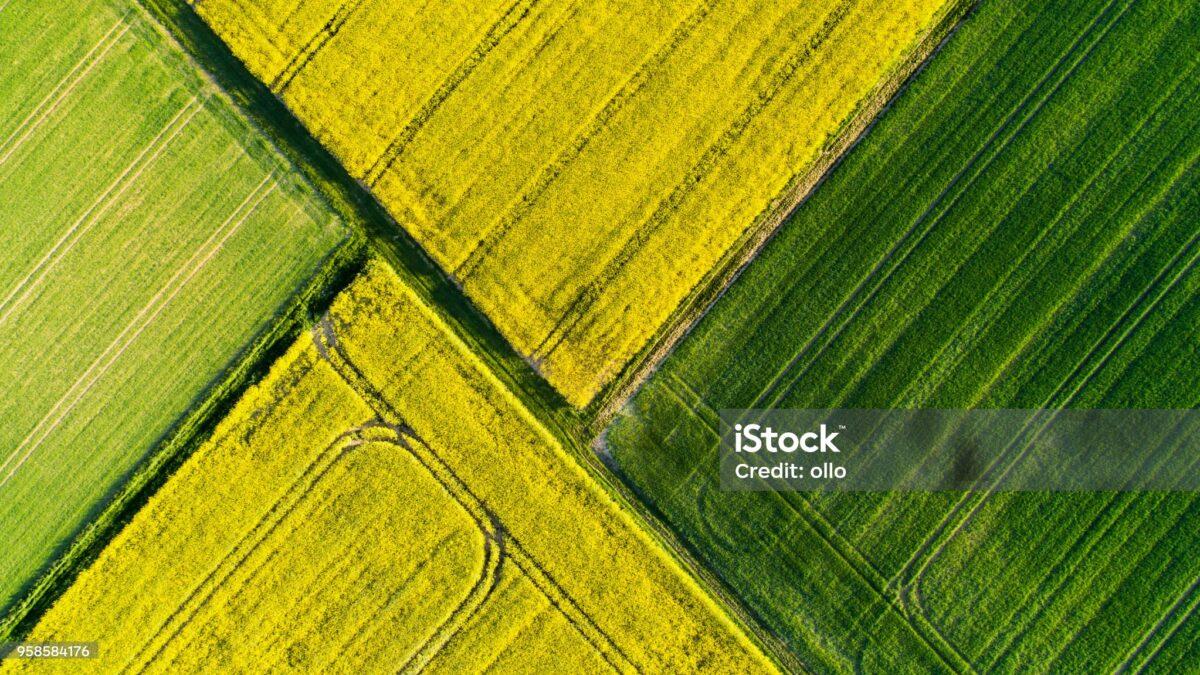 Abstract agricultural area in spring aerial view