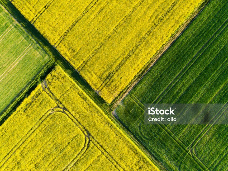 Abstract agricultural area in spring aerial view