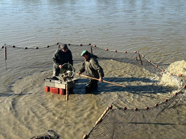 Pêche Etang MARLIEUX 20240919