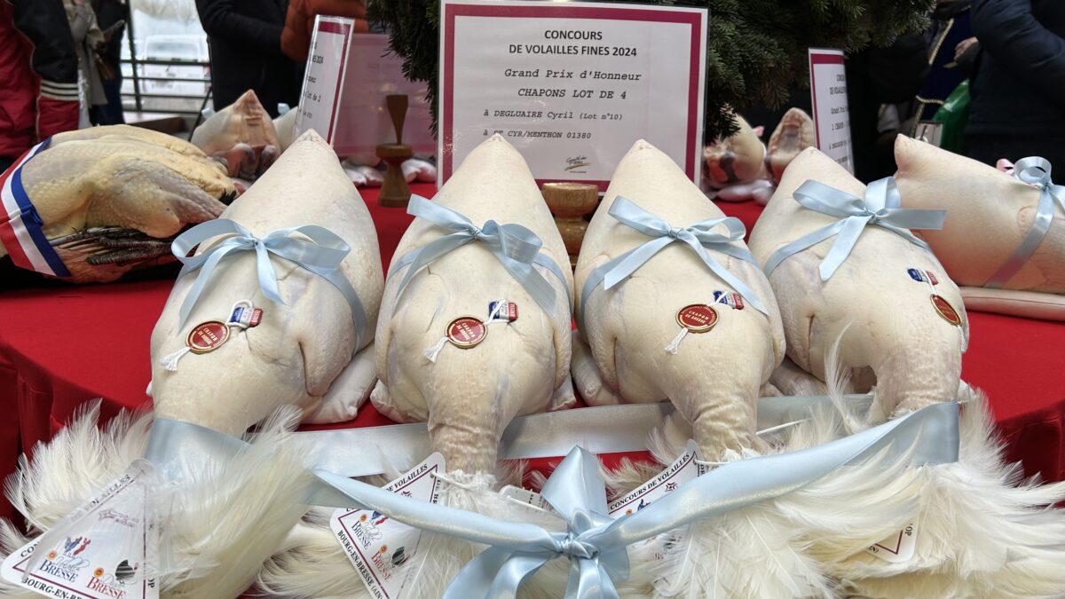 Glorieuses de Bresse Bourg En Bresse 20241213 11 Copie