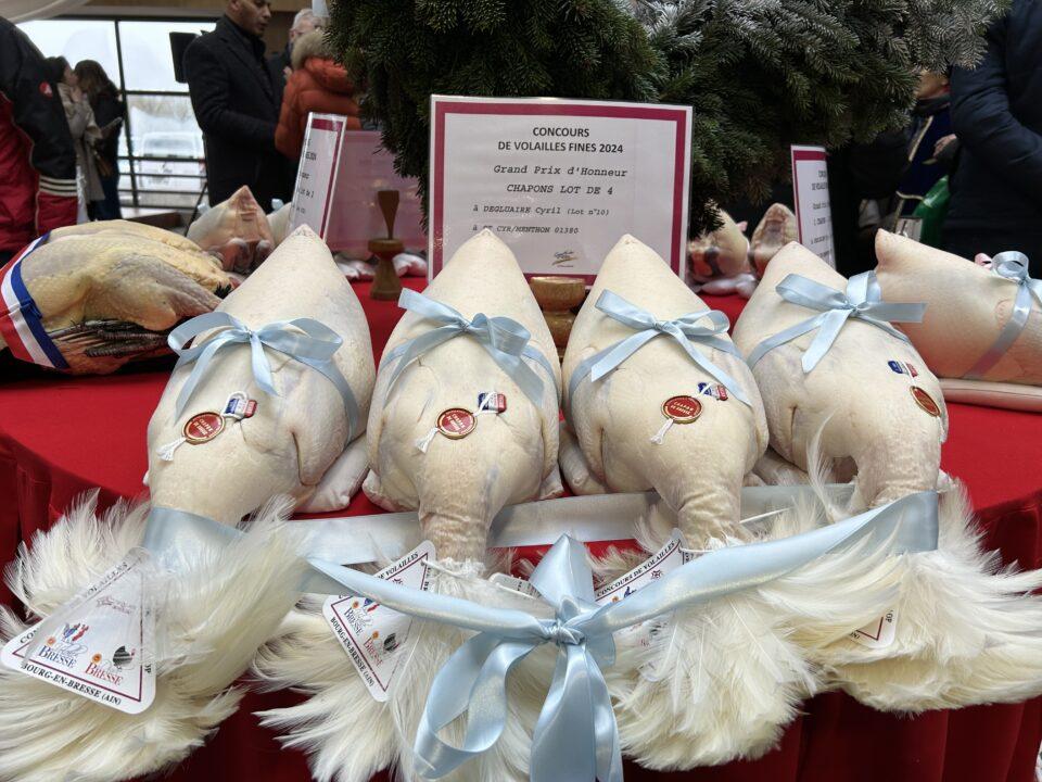 Glorieuses de Bresse Bourg En Bresse 20241213 11 Copie