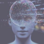 Capture d’écran IA Sénat