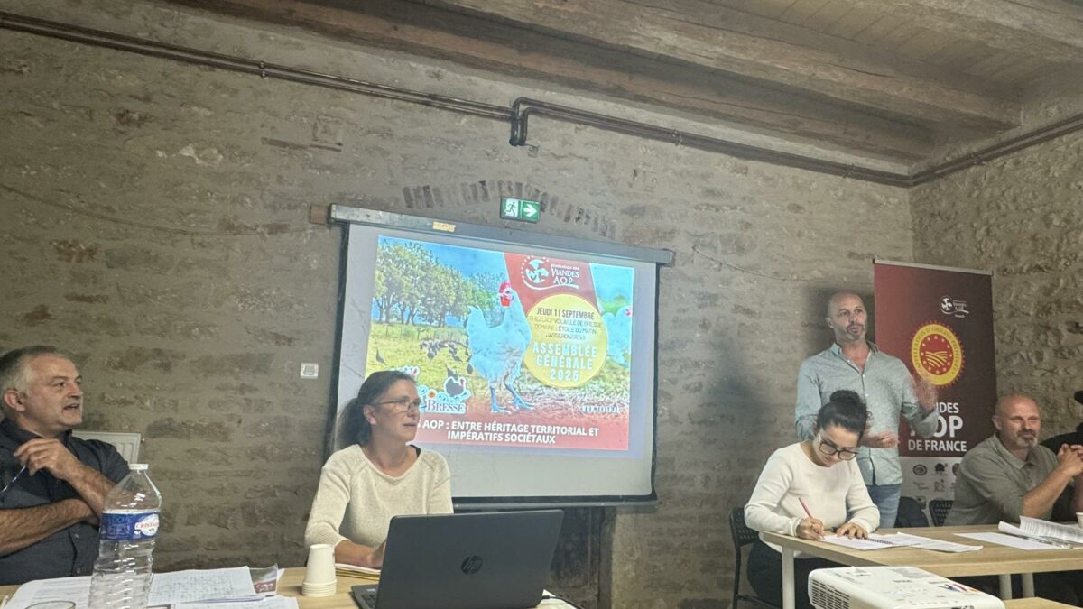 AG Fédération Viandes AOP 20250911