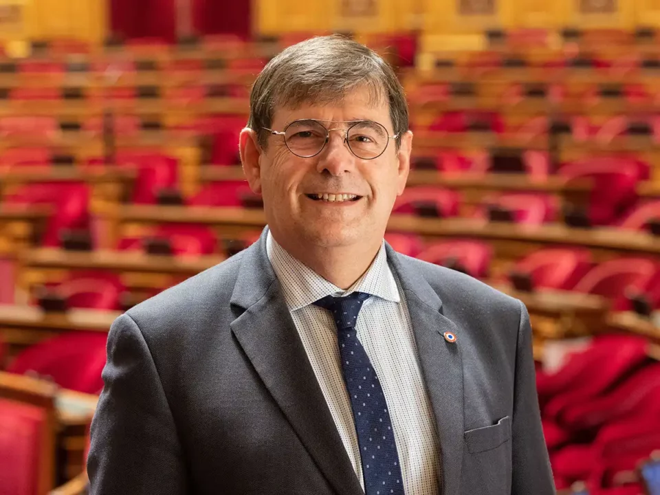 Patrick chaize au senat